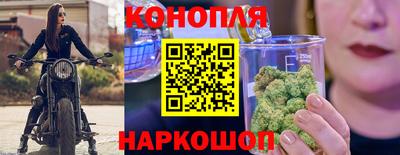 гашик Кандалакша