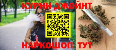 гашик Кандалакша